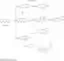 Fig. 28 - CYP-eicosanoid derivatives