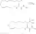 Fig. 48 - CYP-eicosanoid derivatives