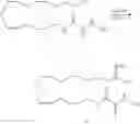 Fig. 52 - CYP-eicosanoid derivatives