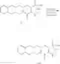 Fig. 63 - CYP-eicosanoid derivatives