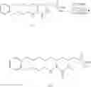 Fig. 71 - CYP-eicosanoid derivatives