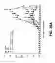Fig. 33 - PYRROLIDINE CARBOXAMIDO DERIVATIVES AND METHODS FOR PREPARING AND USING THE SAME