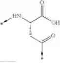 Fig. 02 - NOVEL PEPTIDES AND PEPTIDE DERIVATIVES AND USES THEREOF