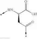 Fig. 04 - NOVEL PEPTIDES AND PEPTIDE DERIVATIVES AND USES THEREOF