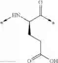 Fig. 05 - NOVEL PEPTIDES AND PEPTIDE DERIVATIVES AND USES THEREOF