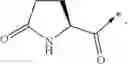 Fig. 19 - NOVEL PEPTIDES AND PEPTIDE DERIVATIVES AND USES THEREOF