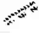 Fig. 02 - STABILIZED ALPHA HELICAL PEPTIDES AND USES THEREOF