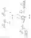 Fig. 04 - STABILIZED ALPHA HELICAL PEPTIDES AND USES THEREOF