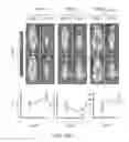 Fig. 35 - STABILIZED ALPHA HELICAL PEPTIDES AND USES THEREOF