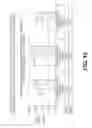 Fig. 20 - UspA2 protein constructs and uses thereof