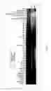 Fig. 07 - BACTERIALLY FORMED MICROCIN S, A NEW ANTIMICROBIAL PEPTIDE, EFFECTIVE AGAINST PATHOGENIC MICROORGANISMS, E.G. ENTEROHEMORRHAGIC ESCHERICHIA COLI (EHEC)