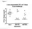 Fig. 06 - Mutated 