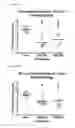 Fig. 09 - Mutated 