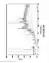 Fig. 09 - Polypeptide libraries with a predetermined scaffold