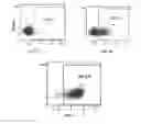 Fig. 06 - Expression of chimeric polypeptide with variable lymphocyte receptors on immune cells and uses for treating cancer