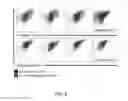Fig. 03 - Means and methods for producing stable antibodies