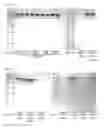 Fig. 09 - HUMANIZED BETA-AMYLOID BINDING MOLECULES AND USES THEREOF