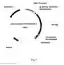 Fig. 03 - AGER-PEPTIDES AND USE THEREOF