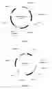 Fig. 04 - AGER-PEPTIDES AND USE THEREOF