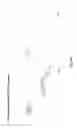 Fig. 14 - AGER-PEPTIDES AND USE THEREOF