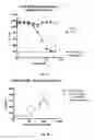 Fig. 19 - AGER-PEPTIDES AND USE THEREOF