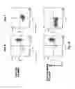 Fig. 20 - TCR Complex Immunotherapeutics