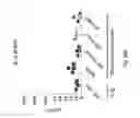 Fig. 41 - TCR Complex Immunotherapeutics