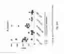 Fig. 43 - TCR Complex Immunotherapeutics