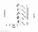 Fig. 45 - TCR Complex Immunotherapeutics