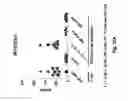 Fig. 46 - TCR Complex Immunotherapeutics