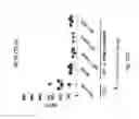 Fig. 48 - TCR Complex Immunotherapeutics
