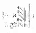 Fig. 49 - TCR Complex Immunotherapeutics