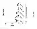 Fig. 50 - TCR Complex Immunotherapeutics