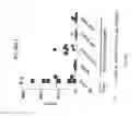 Fig. 58 - TCR Complex Immunotherapeutics