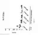 Fig. 63 - TCR Complex Immunotherapeutics