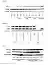 Fig. 10 - ANTIBODY DRUG CONJUGATES