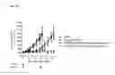 Fig. 16 - ANTIBODY DRUG CONJUGATES