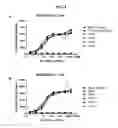 Fig. 04 - Antibodies comprising C-terminal light chain polypeptide extensions and conjugates and methods of use thereof