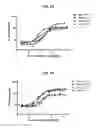 Fig. 30 - Antibodies comprising C-terminal light chain polypeptide extensions and conjugates and methods of use thereof