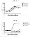 Fig. 32 - Antibodies comprising C-terminal light chain polypeptide extensions and conjugates and methods of use thereof