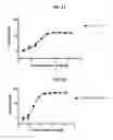 Fig. 37 - Antibodies comprising C-terminal light chain polypeptide extensions and conjugates and methods of use thereof