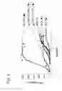 Fig. 04 - GLYCOPEPTIDE AND USES THEREOF