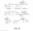 Fig. 20 - GLYCOPEPTIDE AND USES THEREOF