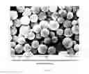 Fig. 03 - Surface modified calcium carbonate containing minerals and its use