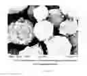 Fig. 06 - Surface modified calcium carbonate containing minerals and its use