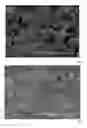 Fig. 04 - Anticorrosion layer and process for production thereof