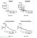 Fig. 10 - Polyamide nanoparticles and uses thereof