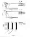 Fig. 12 - Polyamide nanoparticles and uses thereof