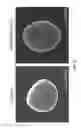 Fig. 20 - Polyamide nanoparticles and uses thereof