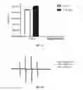 Fig. 33 - Polyamide nanoparticles and uses thereof